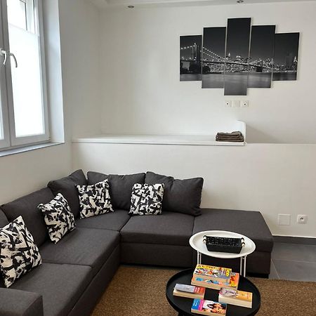 Le Luxembourg Apartment Villeurbanne Ngoại thất bức ảnh
